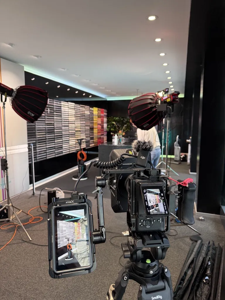 Was kosten LemonCLIPS?